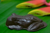 72% cacao frog